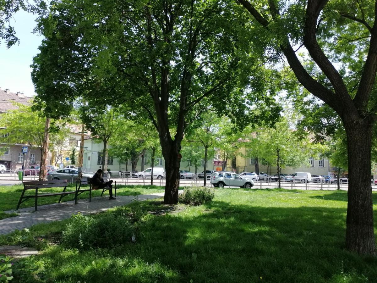 Guest House Orczy Park — Photos 3